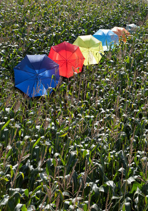 golfparaplu kleuren