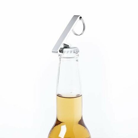 Multifunctionele sleutelhanger Delfis sample